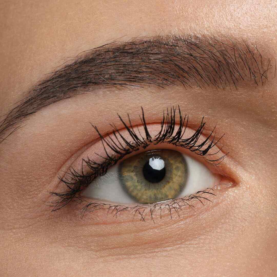 eyebrow restoration